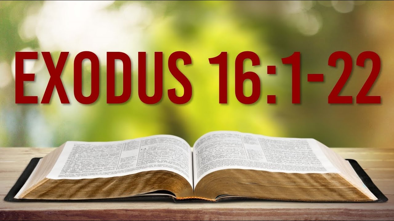 EXODUS 161-22 - MANNA